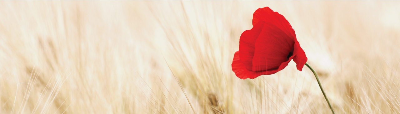 Remembrance Day Wednesday November 11th 2026